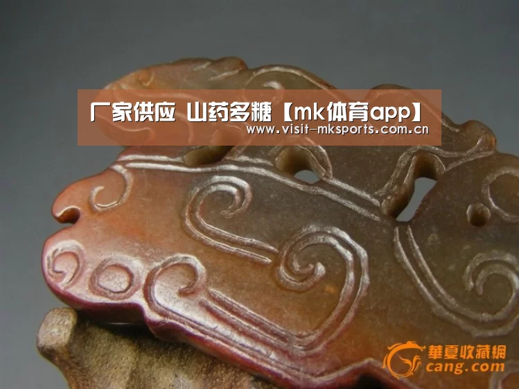 厂家供应 山药多糖【mk体育app】(图1) mk体育app