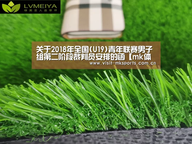 关于2018年全国(U19)青年联赛男子组第二阶段裁判员安排的函【mk体育下载】(图2) mk体育app