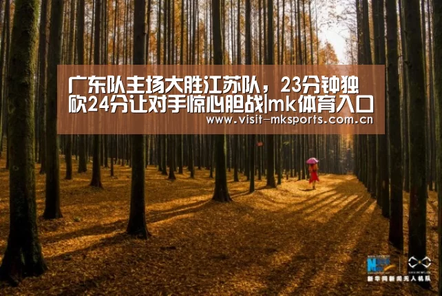 mk体育下载