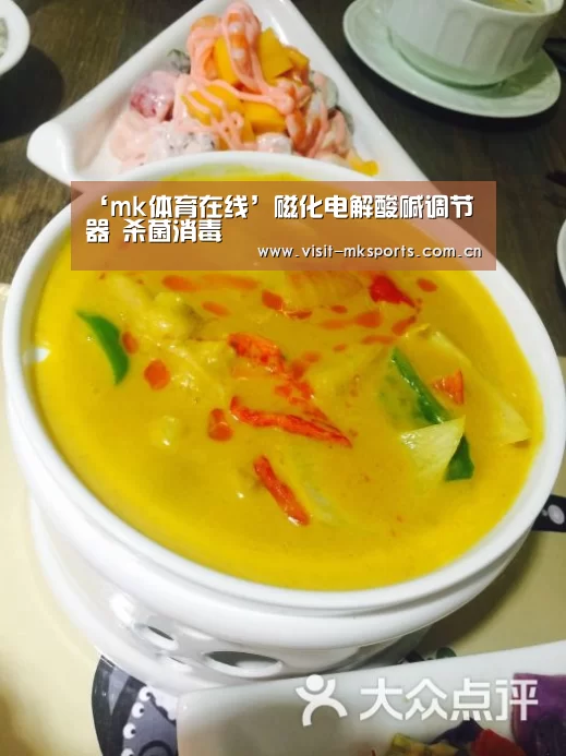 ‘mk体育在线’磁化电解酸碱调节器 杀菌