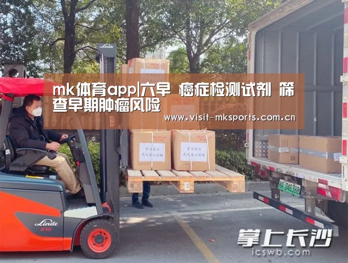 mk体育下载
