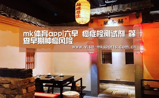 mk体育入口