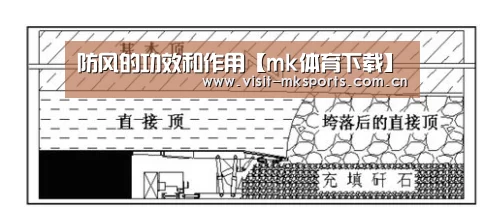 防风的功效和作用【mk体育下载】(图2) mk体育app